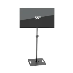 Samsung 55 inch TV P&B Rental